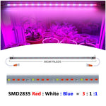 220V LED Grow Bar Light 75LEDs 50cm Phytolamp Full Spectrum Plant Grow Lamp with Switch