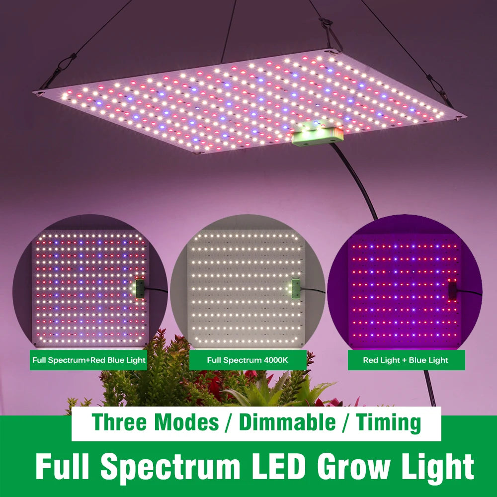 100-240V Grow Light LED Samsung LM281B Full Spectrum Phytolamp Dimmable Timing LED Light