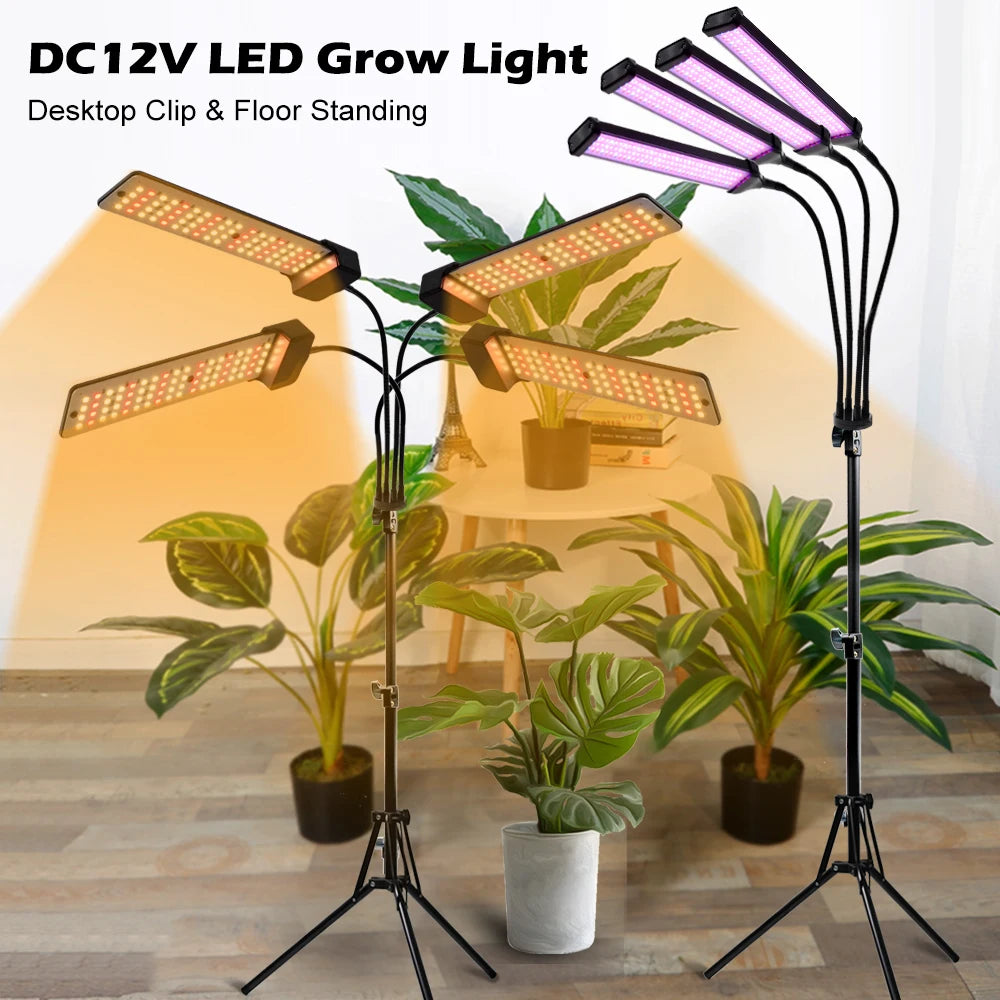 Grow Light LED Full Spectrum 12V Phytolamp Dimmable Timing Lamp