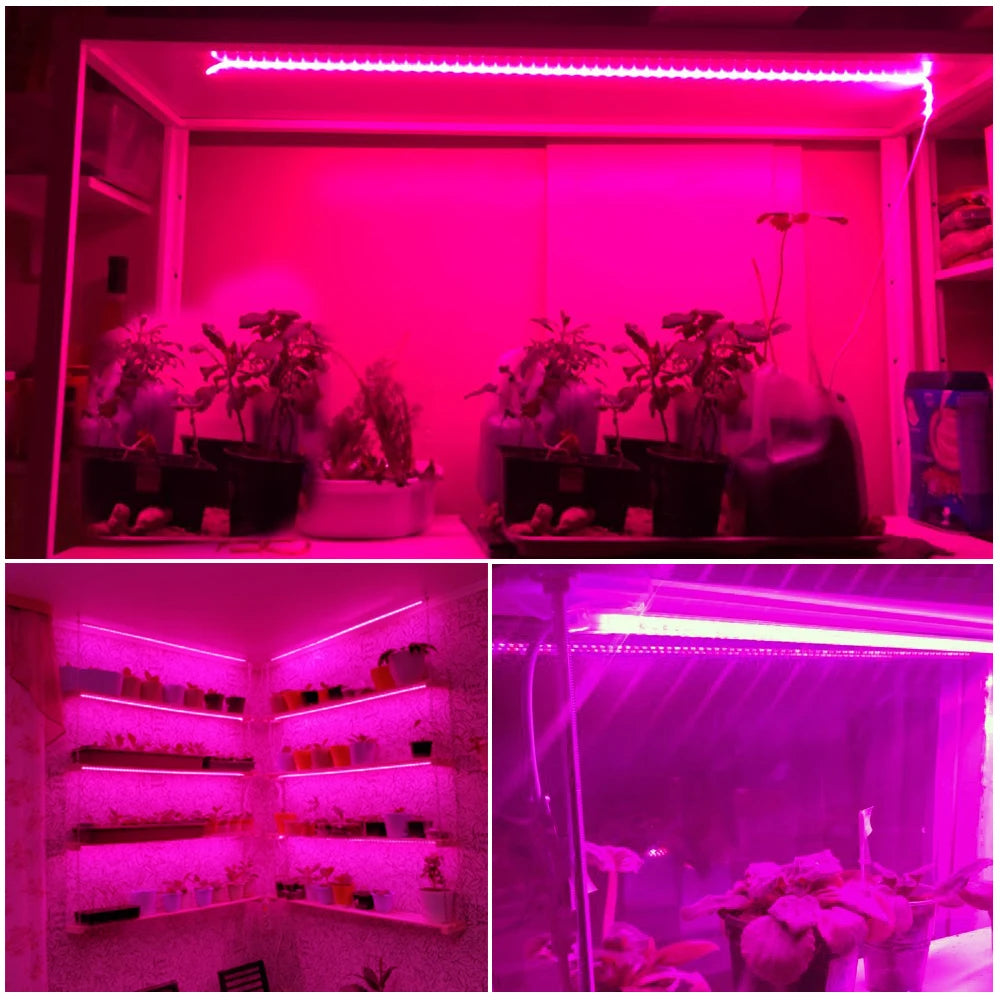 Grow Light Strips Full Spectrum 220V Phyto Lamp Waterproof LED Strips Plant Light