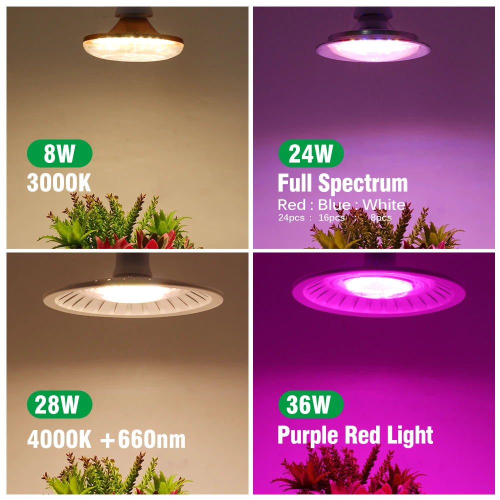 Plyto Lamp LED Grow Light 220V 8W 24W 28W 36W Full Spectrum COB LED Plant Lamp