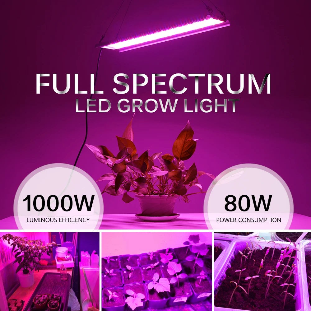 1000W LED Grow Light Full Spectrum AC85-265V 80W Phytolamp Waterproof Growing Lamp