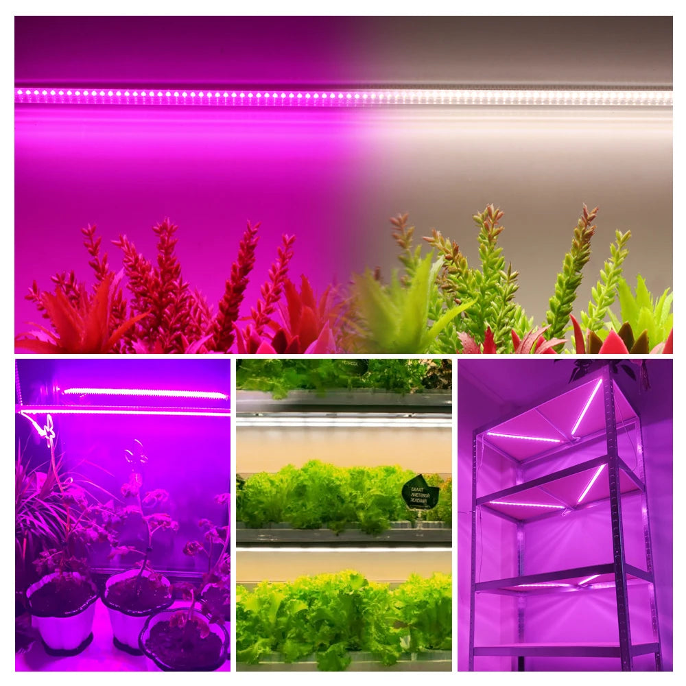 Grow Light 220V Full Spectrum LED Bar Light